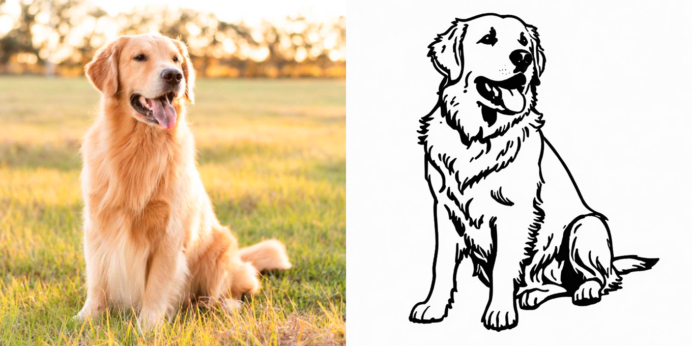 Golden retriever photo used as example input for ComfyUI line-art workflow
